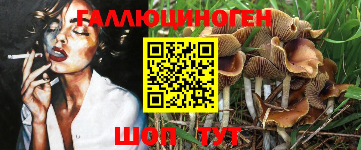 Псилоцибиновые грибы MAGIC MUSHROOMS  Вход с VPN  Галлюциногенные грибы мухоморы  Серпухов 